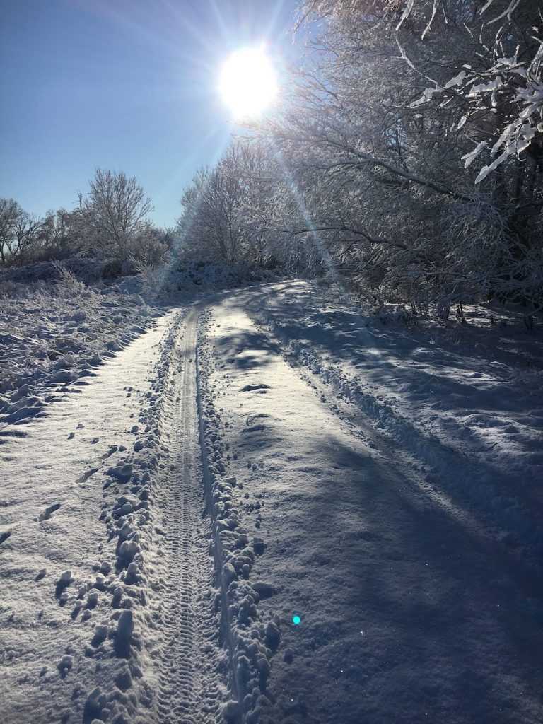 Spuren im Schnee bei einer Winterwanderung