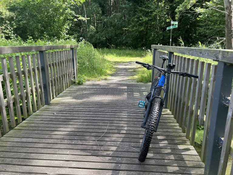 Fahrrad am Zaun
