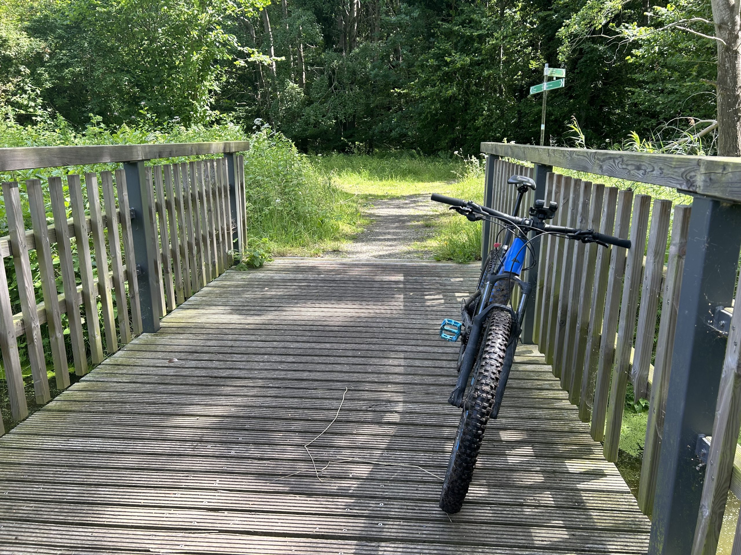 Fahrrad am Zaun