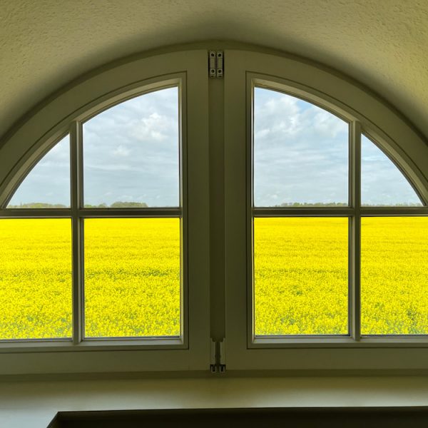 ein Gaubenfenster mit Rapsfeld im Hintergrund